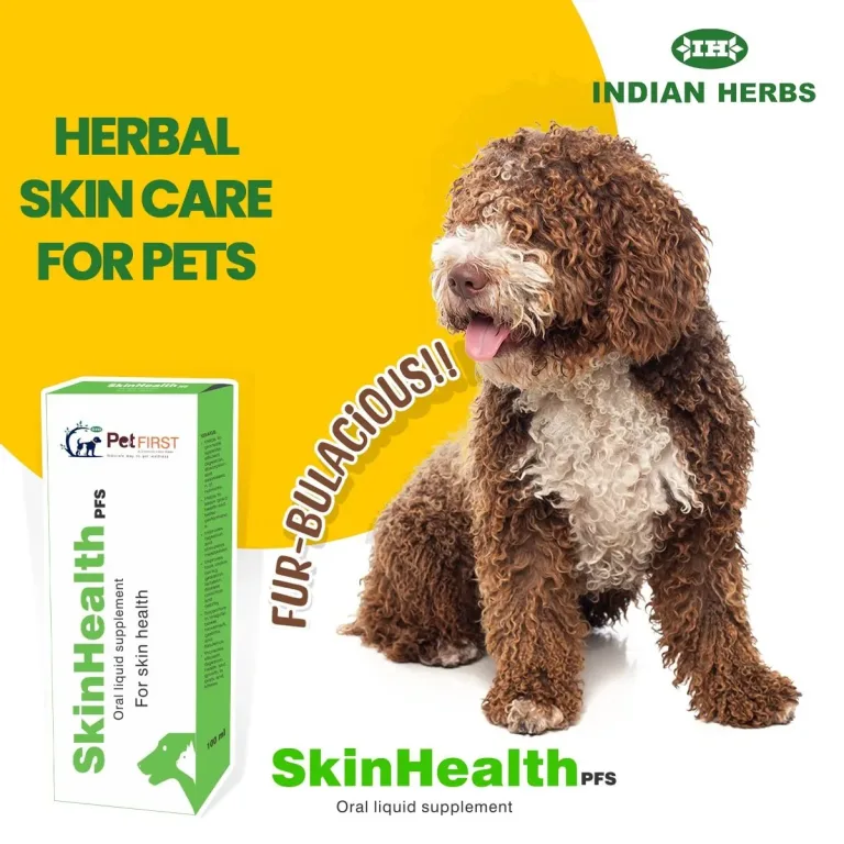 1 - SkinHealthPFS - 2 Aug 23