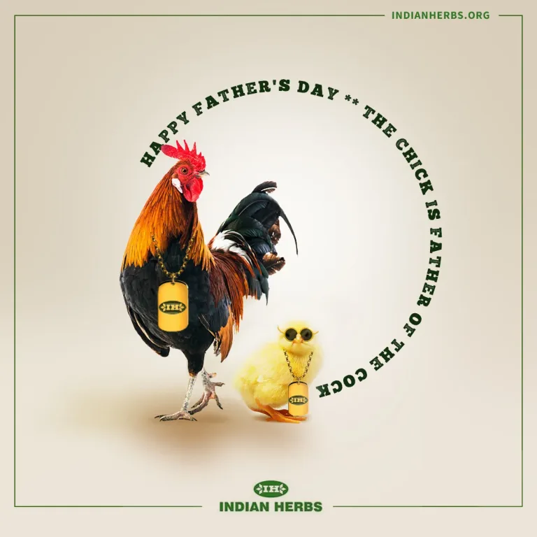 IH - Creative Sample 2