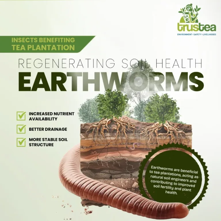 Screenshot 2025-10-18 113958