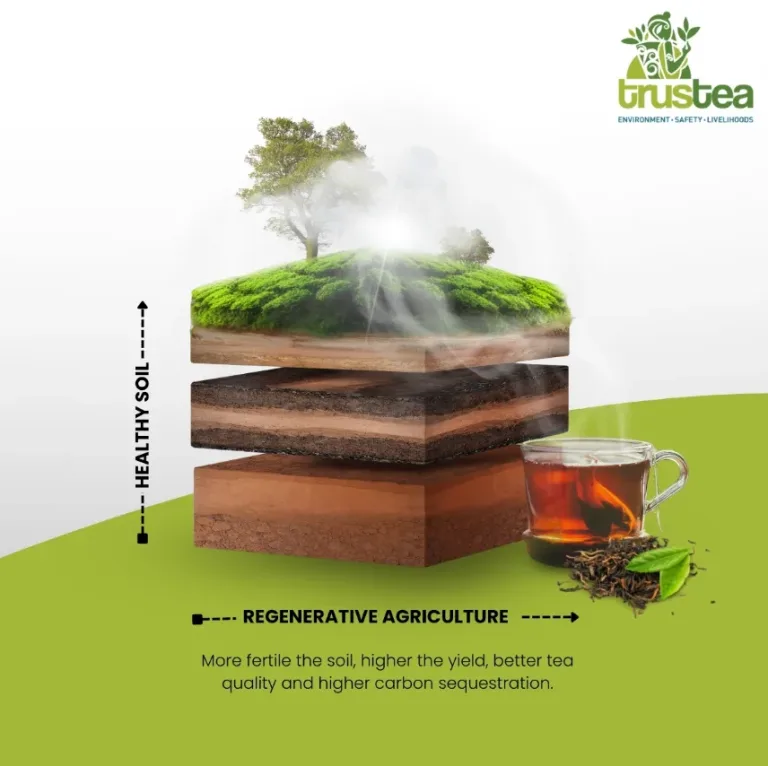 Screenshot 2025-10-18 114019