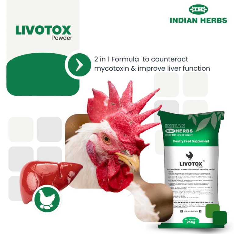 Screenshot 2025-10-18 114110