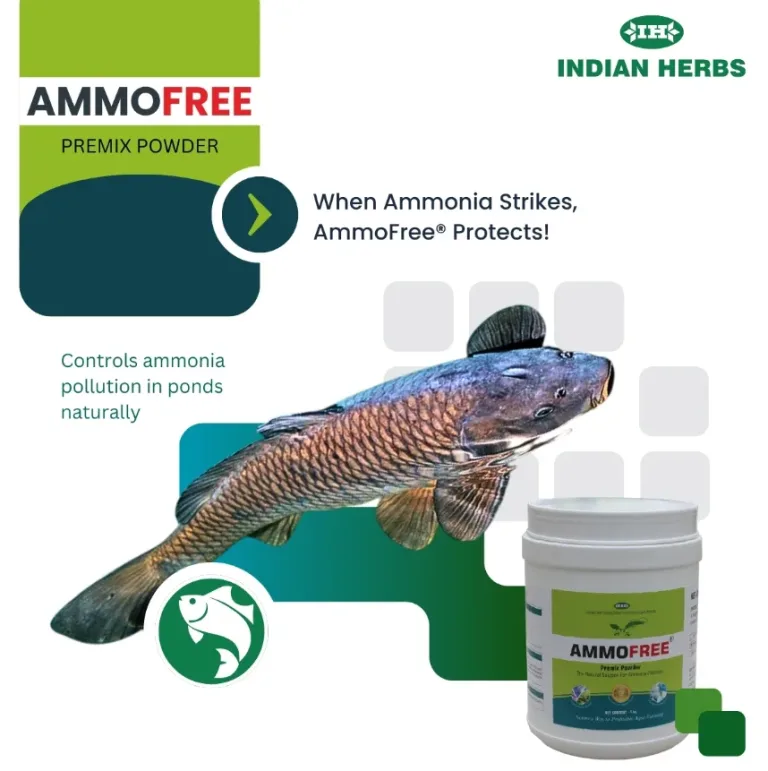 Screenshot 2025-10-18 114128